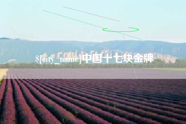 临猗中国十七块金牌