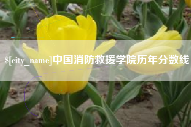 临猗中国消防救援学院历年分数线
