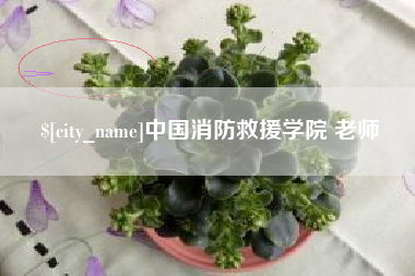临猗中国消防救援学院 老师