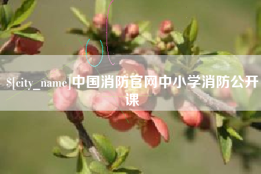 临猗中国消防官网中小学消防公开课