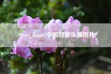 临猗中国冠军头像图片