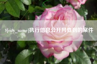 临猗执行信息公开网查到的案件