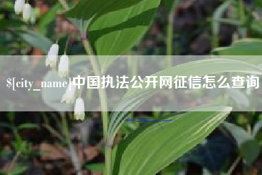 临猗中国执法公开网征信怎么查询