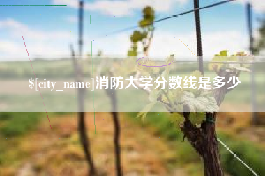 临猗消防大学分数线是多少