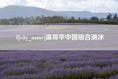临猗温哥华中国组合滑冰