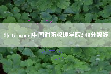临猗中国消防救援学院2018分数线