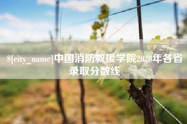 临猗中国消防救援学院2020年各省录取分数线