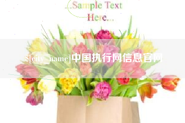 临猗中国执行网信息官网