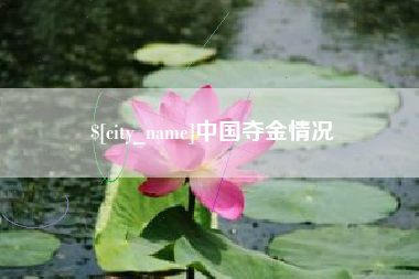 临猗中国夺金情况