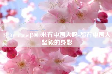 临猗5000米有中国人吗-都有中国人坚毅的身影