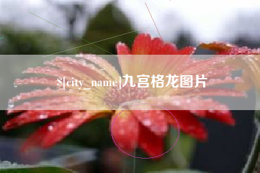 临猗九宫格龙图片