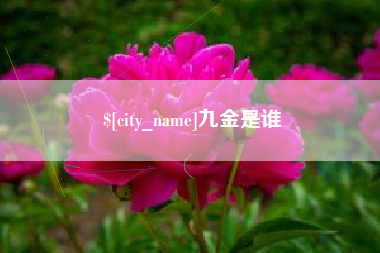 临猗九金是谁