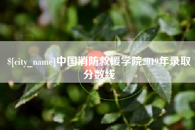 临猗中国消防救援学院2019年录取分数线