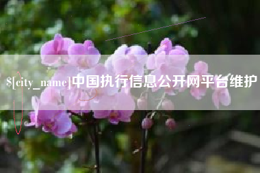 临猗中国执行信息公开网平台维护