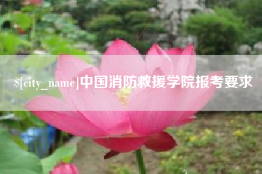临猗中国消防救援学院报考要求