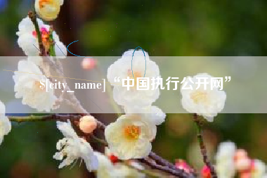 临猗“中国执行公开网”