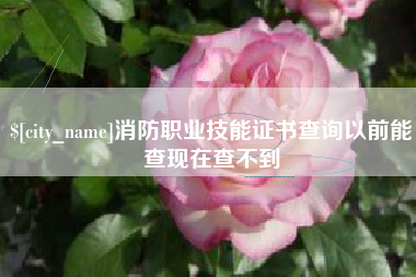 临猗消防职业技能证书查询以前能查现在查不到