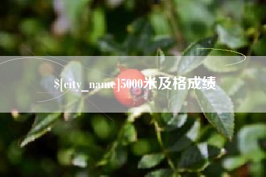 临猗5000米及格成绩