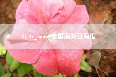 临猗全国消防日海报