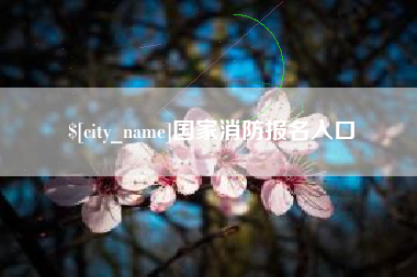 临猗国家消防报名入口