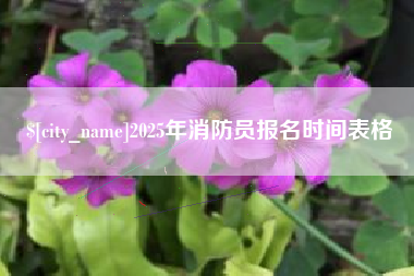 临猗2025年消防员报名时间表格