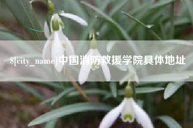 临猗中国消防救援学院具体地址