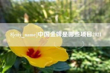 临猗中国金牌是哪些项目2021