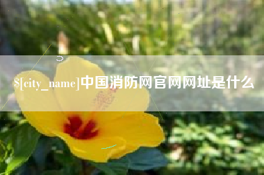 临猗中国消防网官网网址是什么