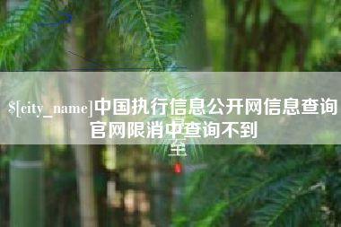 临猗中国执行信息公开网信息查询官网限消中查询不到