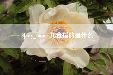 临猗九金指的是什么