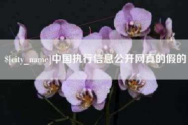 临猗中国执行信息公开网真的假的