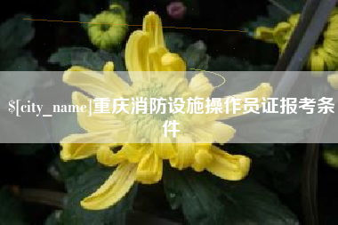 临猗重庆消防设施操作员证报考条件