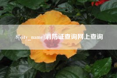 临猗消防证查询网上查询