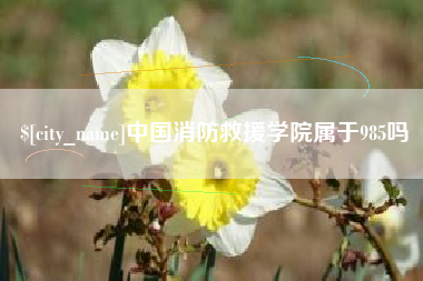 临猗中国消防救援学院属于985吗