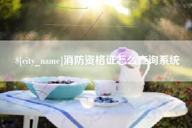 临猗消防资格证怎么查询系统