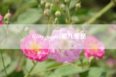 临猗第九金是