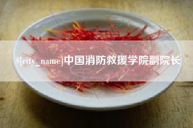 临猗中国消防救援学院副院长