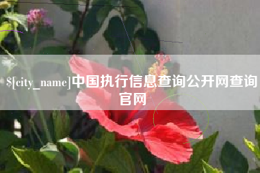 临猗中国执行信息查询公开网查询官网