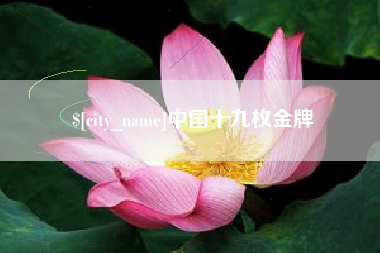 临猗中国十九枚金牌