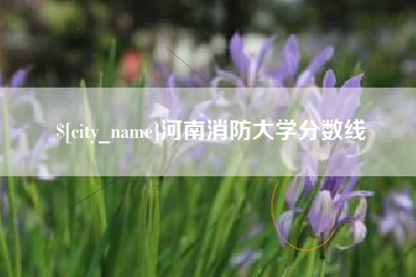 临猗河南消防大学分数线