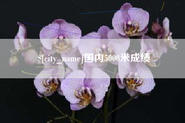 临猗国内5000米成绩