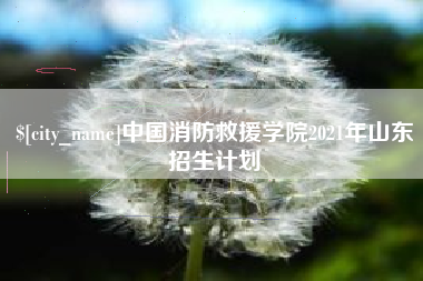 临猗中国消防救援学院2021年山东招生计划