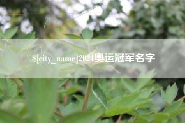 临猗2024奥运冠军名字