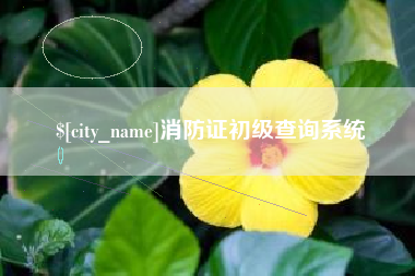 临猗消防证初级查询系统