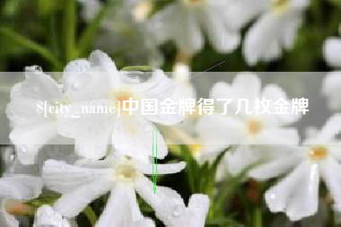 临猗中国金牌得了几枚金牌