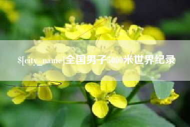 临猗全国男子5000米世界纪录