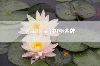 临猗中国9金牌