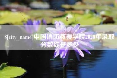 临猗中国消防救援学院2020年录取分数线是多少