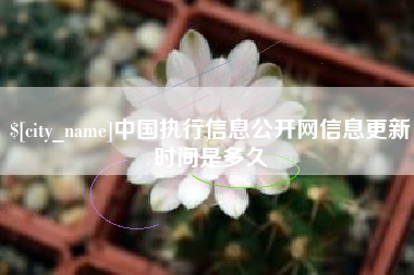 临猗中国执行信息公开网信息更新时间是多久