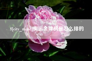 临猗奥运金牌榜是怎么排的